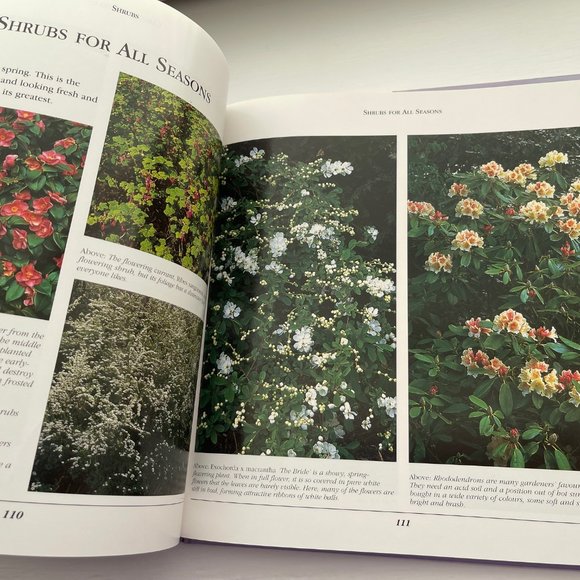 Shrubs and Climbers Hardcover Book with Dust Jacket - Picture 7 of 7